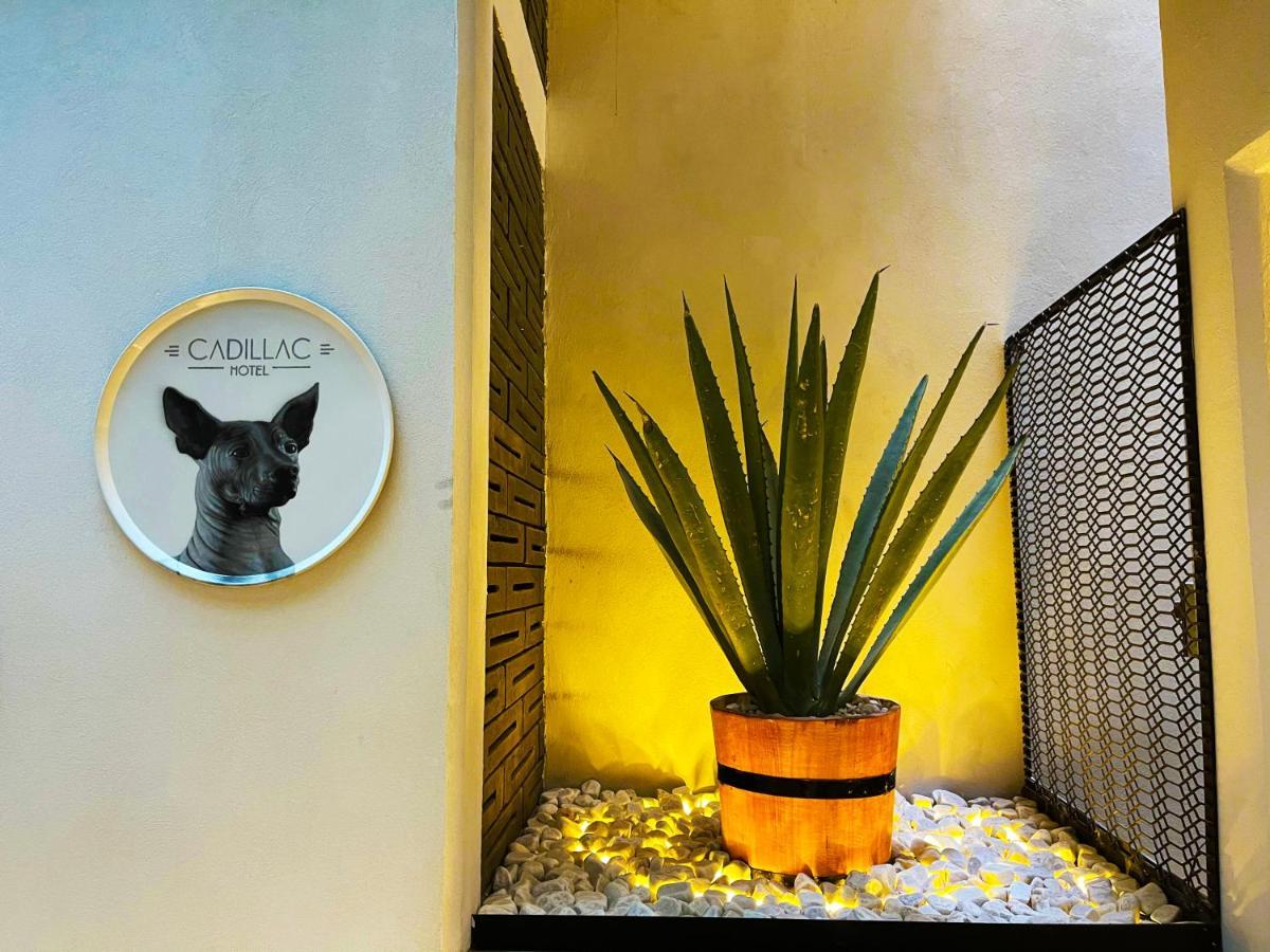 Cadillac Cocoon Beds Mexico City Ngoại thất bức ảnh